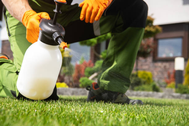 Best Affordable Pest Control Services  in Hanover, IN