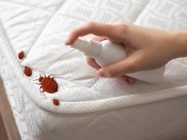 Best Residential Pest Control  in Hanover, IN