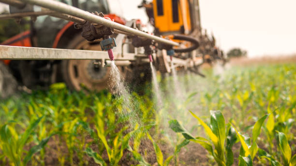 Best Commercial Pest Control Services  in Hanover, IN